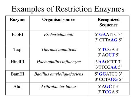 list of restriction enzymes.
